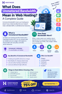 What Does Unmetered Bandwidth Mean in Web Hosting A Complete Guide
